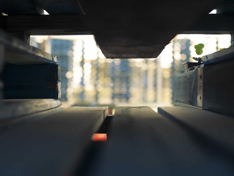【游戏杂谈】在手机里重筑三国梦：《三国志8》完全汉化版深度体验与追忆